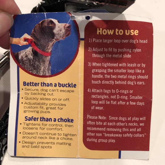 Premier Petite Collar & Leash - Picture 6 of 7